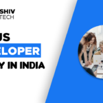 vue.js developer salary