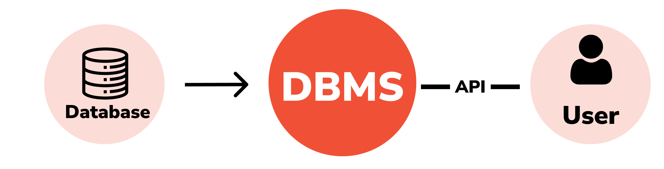 dbms vs rdbms, difference between dbms and rdbms, rdbms vs dbms, rdbms