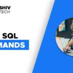 Components of DBMS mysql commands