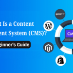 What is a CMS, content management system, content management system definition