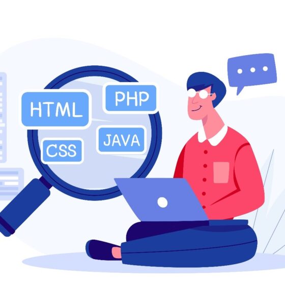 Laravel Developers