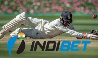 Sports Betting in India: Which Sports are Most Popular at Indibet