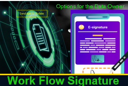 work-flow-signature